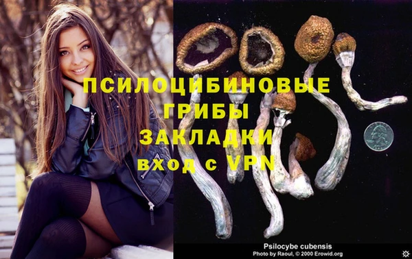 гидропоника Верея