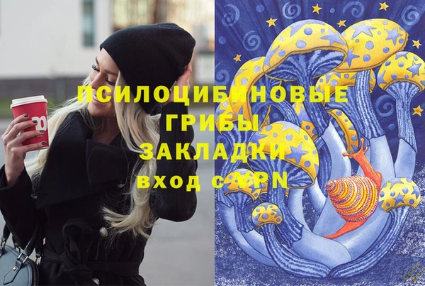 apvp Верхний Тагил