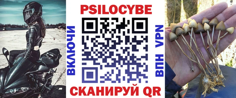 Псилоцибиновые грибы GOLDEN TEACHER  Отрадное 