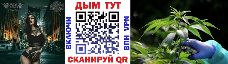 Конопля конопля  наркотики  Отрадное 